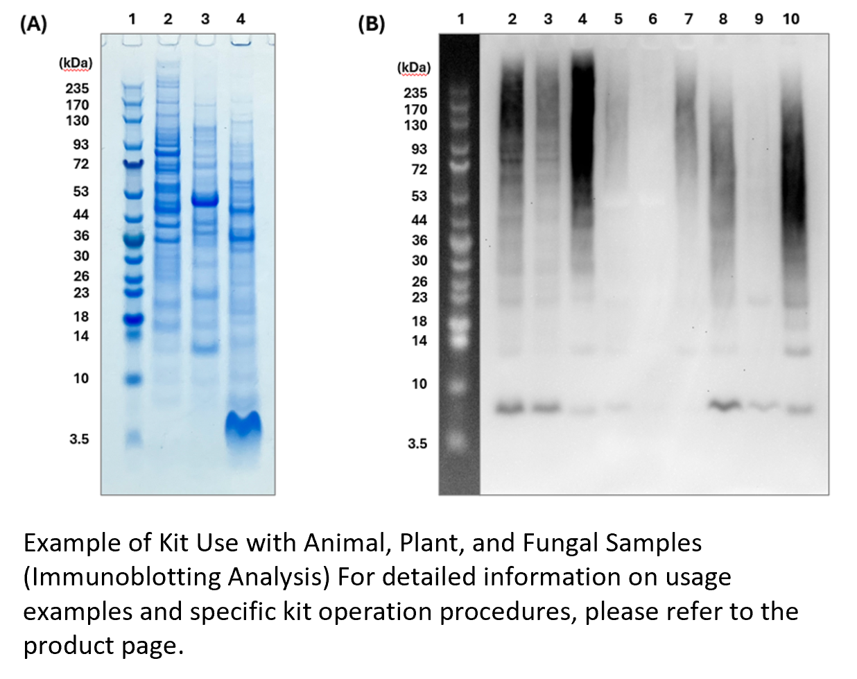 Exosome ELISA Kits, Human