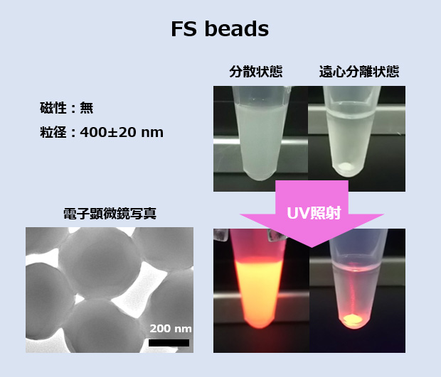 FF beads